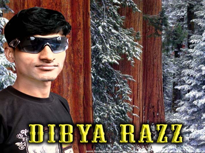 dibyarazz1@gmail.com